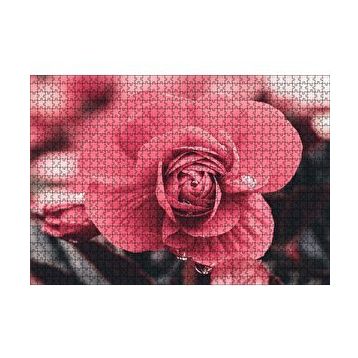Cakapuzzle Kırmızı Çiçek ve Damlalar Yakın Plan 120 Parça Ahşap Puzzle