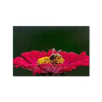 Cakapuzzle Kırmızı Çiçekten Polen Toplayan Balarısı 120 Parça Ahşap Puzzle