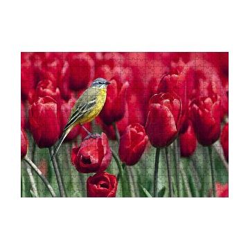 Cakapuzzle Kırmızı Gelincikler Üzerindeki Sarı Kuş 120 Parça Ahşap Puzzle