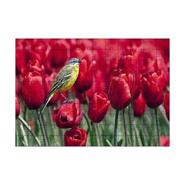 Cakapuzzle Kırmızı Gelincikler Üzerindeki Sarı Kuş 120 Parça Ahşap Puzzle