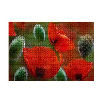 Cakapuzzle Kırmızı Gelincikler Yakın Çekim 120 Parça Ahşap Puzzle