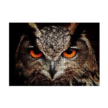 Cakapuzzle Kırmızı Gözlü Baykuş Yakın Çekim 120 Parça Ahşap Puzzle