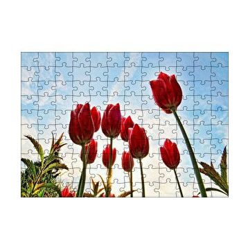 Cakapuzzle Kırmızı Lale Bahçesi Görseli 120 Parça Ahşap Puzzle