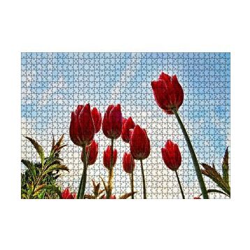 Cakapuzzle Kırmızı Lale Bahçesi Görseli 120 Parça Ahşap Puzzle