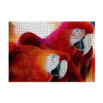 Cakapuzzle Kırmızı Papağanlar 120 Parça Ahşap Puzzle