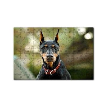 Cakapuzzle Kırmızı Tasmalı Doberman Flu Arkaplan 120 Parça Ahşap Puzzle