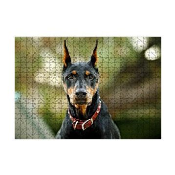 Cakapuzzle Kırmızı Tasmalı Doberman Flu Arkaplan 120 Parça Ahşap Puzzle