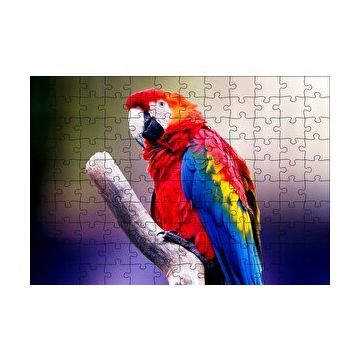Cakapuzzle Kırmızı Tüylü Papağan 120 Parça Ahşap Puzzle
