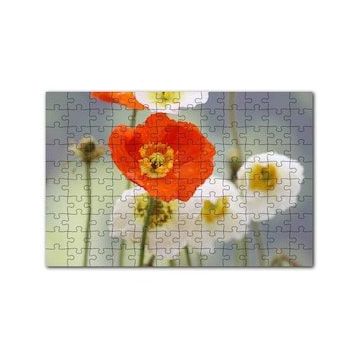 Cakapuzzle Kırmızı ve Beyaz Gelincikler Yakın Çekim 120 Parça Ahşap Puzzle