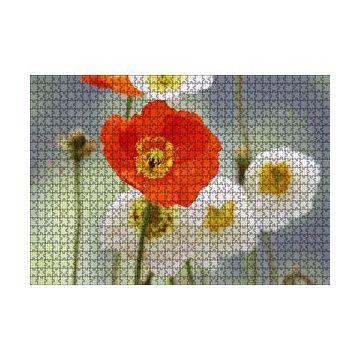 Cakapuzzle Kırmızı ve Beyaz Gelincikler Yakın Çekim 120 Parça Ahşap Puzzle