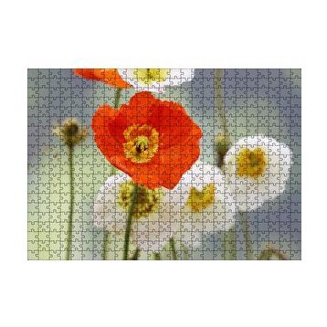 Cakapuzzle Kırmızı ve Beyaz Gelincikler Yakın Çekim 120 Parça Ahşap Puzzle