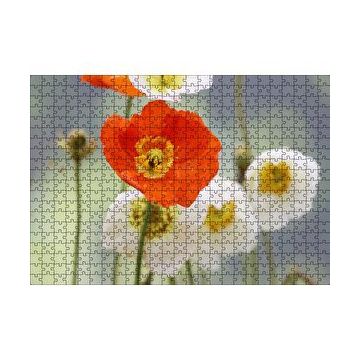 Cakapuzzle Kırmızı ve Beyaz Gelincikler Yakın Çekim 120 Parça Ahşap Puzzle