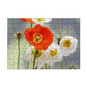 Cakapuzzle Kırmızı ve Beyaz Gelincikler Yakın Çekim 120 Parça Ahşap Puzzle