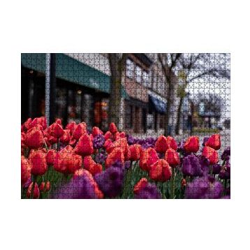 Cakapuzzle Kırmızı ve Mor Laleler 120 Parça Ahşap Puzzle