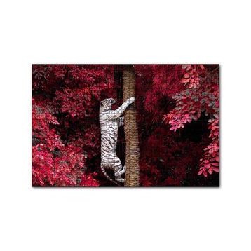 Cakapuzzle Kırmızı Yapraklar ve Ağaca Tırmanan Beyaz Kaplan 120 Parça Ahşap Puzzle