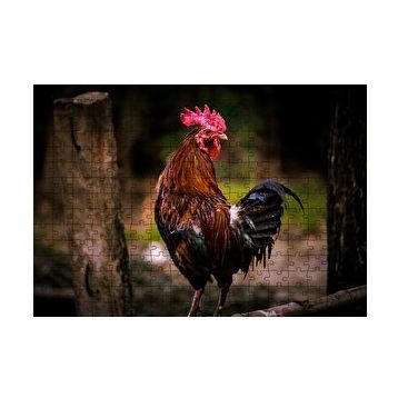 Cakapuzzle Kızıl Horoz 120 Parça Puzzle