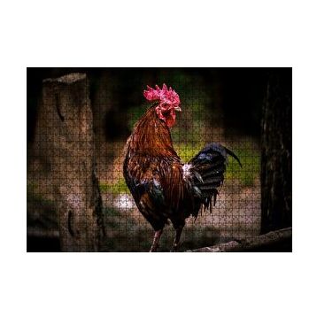 Cakapuzzle Kızıl Horoz 120 Parça Puzzle