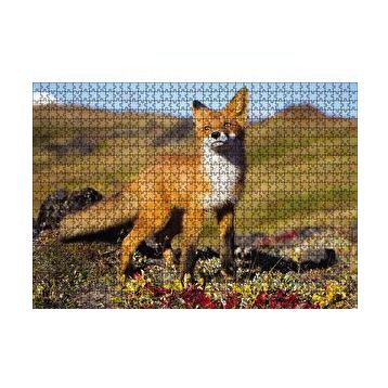 Cakapuzzle Kızıl Tilki Görseli 120 Parça Puzzle