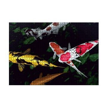 Cakapuzzle Koi Balıkları Yukarıdan Görünüm 120 Parça Ahşap Puzzle