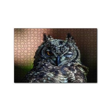 Cakapuzzle Komik Baykuş 120 Parça Puzzle