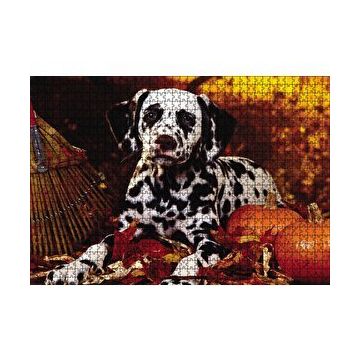 Cakapuzzle Köpek Cadılar Bayramı 120 Parça Puzzle