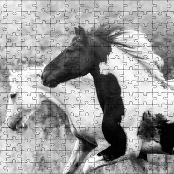 Cakapuzzle Koşan Siyah Beyaz Atlar Görseli 120 Parça Ahşap Puzzle
