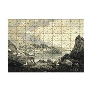 Cakapuzzle Koyda Binalar Yamaçta Koyunlar 255 Parça Puzzle