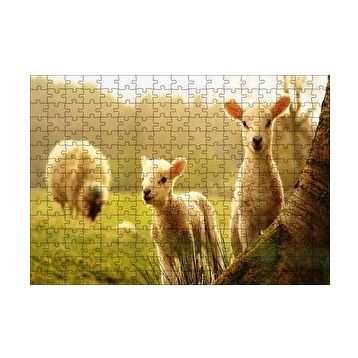 Cakapuzzle Koyun Kuzular Görseli 120 Parça Ahşap Puzzle