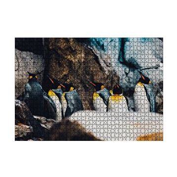 Cakapuzzle Kral Penguenler 120 Parça Puzzle