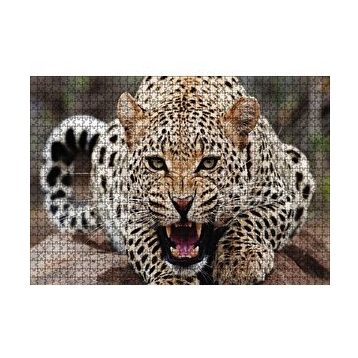 Cakapuzzle Kükreyen Jaguar 120 Parça Ahşap Puzzle