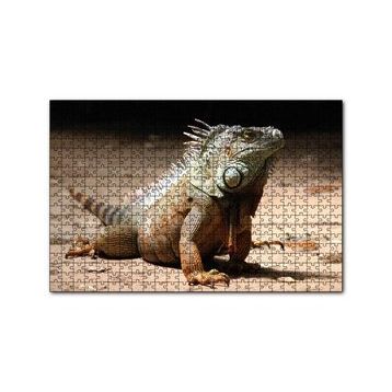 Cakapuzzle Kumlar Üzerinde Görkemli Iguana 255 Parça Puzzle