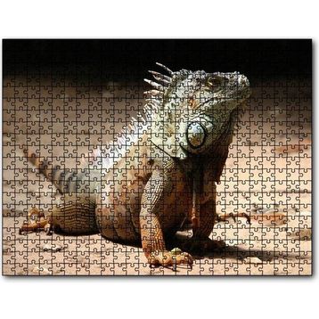 Cakapuzzle Kumlar Üzerinde Görkemli Iguana 255 Parça Puzzle