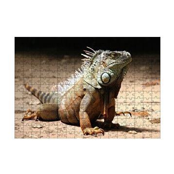 Cakapuzzle Kumlar Üzerinde Görkemli Iguana 255 Parça Puzzle