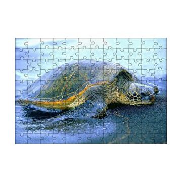 Cakapuzzle Kumsala Çıkan Caretta Caretta 120 Parça Ahşap Puzzle