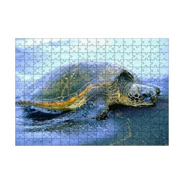 Cakapuzzle Kumsala Çıkan Caretta Caretta 120 Parça Ahşap Puzzle