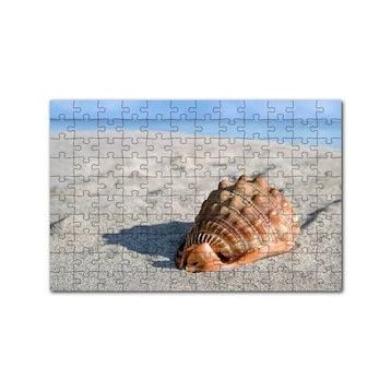 Cakapuzzle Kumsalda Dev Deniz Kabuğu 120 Parça Puzzle