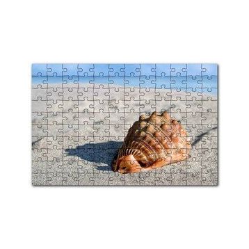Cakapuzzle Kumsalda Dev Deniz Kabuğu 120 Parça Puzzle