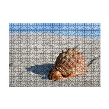 Cakapuzzle Kumsalda Dev Deniz Kabuğu 120 Parça Puzzle