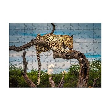 Cakapuzzle Kuru Dal Üzerinde Yalanan Leopar Görseli 255 Parça Puzzle