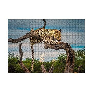 Cakapuzzle Kuru Dal Üzerinde Yalanan Leopar Görseli 255 Parça Puzzle