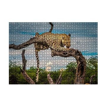 Cakapuzzle Kuru Dal Üzerinde Yalanan Leopar Görseli 255 Parça Puzzle