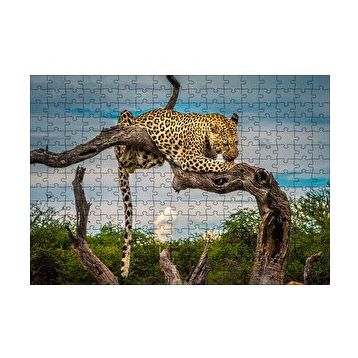 Cakapuzzle Kuru Dal Üzerinde Yalanan Leopar Görseli 255 Parça Puzzle