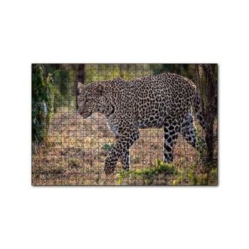 Cakapuzzle Kuru Otlar Üzerinde Yürüyen Leopar 120 Parça Puzzle