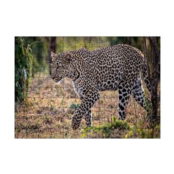 Cakapuzzle Kuru Otlar Üzerinde Yürüyen Leopar 120 Parça Puzzle