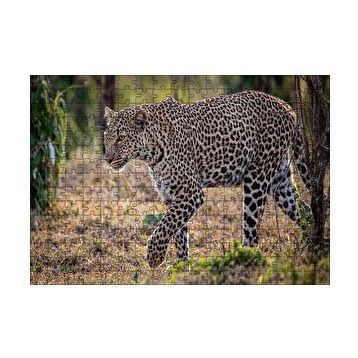 Cakapuzzle Kuru Otlar Üzerinde Yürüyen Leopar 120 Parça Puzzle