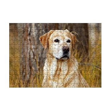 Cakapuzzle Kuru Otların Arasındaki Labrador 120 Parça Ahşap Puzzle