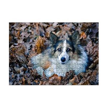 Cakapuzzle Kuru Yapraklar Arasındaki Sevimli Köpek 120 Parça Puzzle