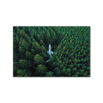 Cakapuzzle Kuşbakışı Ormanın Ortasındaki Uçak 255 Parça Puzzle