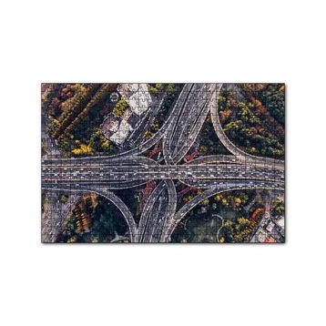 Cakapuzzle Kuşbakışı Otoyollar ve Viyadükler 255 Parça Puzzle