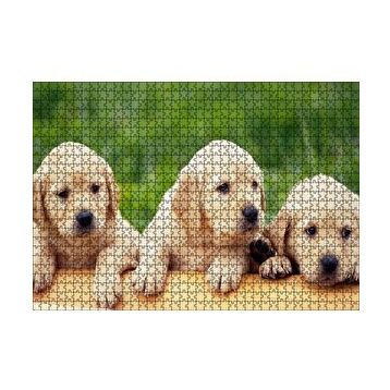 Cakapuzzle Kütüğün Üzerinde Üç Sevimli Labrador 120 Parça Ahşap Puzzle